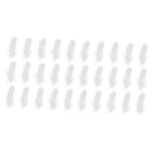 COOPHYA 2 Sätze Weiße Schwäne Federn Dekorationen Für Hochzeit Und DIY Bastelprojekte Vielseitige Mehrzweck Requisiten Für Festlichkeiten Und Heimdekoration 200 Stück * 2 COOPHYA 2 Sätze Weiße Schwäne Federn Dekorationen Für Hochzeit Und DIY Bastelprojekte Vielseitige Mehrzweck Requisiten Für Festlichkeiten Und Heimdekoration 200 Stück * 2 von COOPHYA