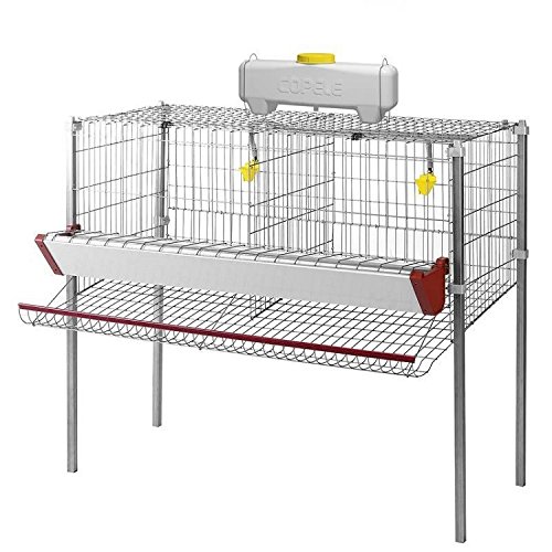 COPELE 30702 Akku für 2 Abteilungen COPELE 30702 Akku für 2 Abteilungen von COPELE