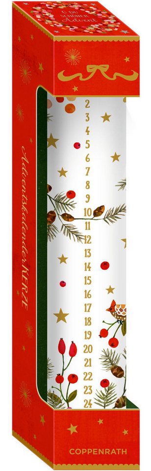COPPENRATH DIE SPIEGELBURG Adventskalender Große Adventskalender-Kerze COPPENRATH DIE SPIEGELBURG Adventskalender Große Adventskalender-Kerze von COPPENRATH DIE SPIEGELBURG