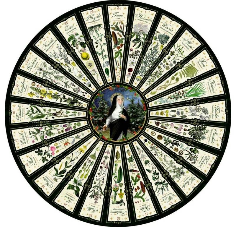 COPPENRATH DIE SPIEGELBURG Adventskalender Leben mit der Natur - Hildegard von Bingen, Wandkalender von COPPENRATH DIE SPIEGELBURG