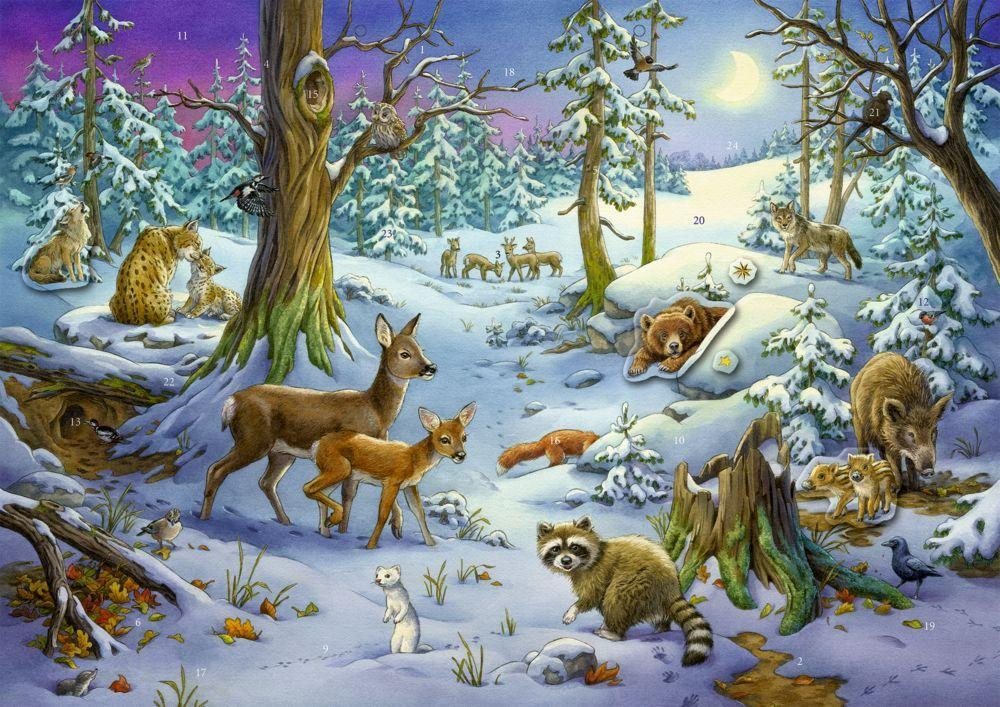 COPPENRATH DIE SPIEGELBURG Adventskalender Sticker-Adventskalender von COPPENRATH DIE SPIEGELBURG