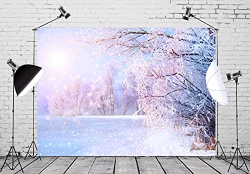 CORTOTO 3 x 2,5m Stoff Winter Hintergrund Themenfotografie Eisworld Snowfield Wonderland Frost Tree Wonderland Szene für Brautdusche Hochzeit Foto Geburtstagsfeier Weihnachten Hintergrund CORTOTO 3 x 2,5m Stoff Winter Hintergrund Themenfotografie Eisworld Snowfield Wonderland Frost Tree Wonderland Szene für Brautdusche Hochzeit Foto Geburtstagsfeier Weihnachten Hintergrund von CORFOTO