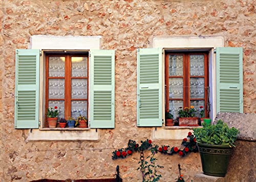 CORTOTO 3x2m stoff Alte Mauer Hintergrund Alte Steinwand Holz Fenster Rote Rose Topf Pflanze Hintergrund Fotografie Vintage Gebäude Sommer Graduation Urlaub Foto Portrait Foto Requisiten CORTOTO 3x2m stoff Alte Mauer Hintergrund Alte Steinwand Holz Fenster Rote Rose Topf Pflanze Hintergrund Fotografie Vintage Gebäude Sommer Graduation Urlaub Foto Portrait Foto Requisiten von CORFOTO