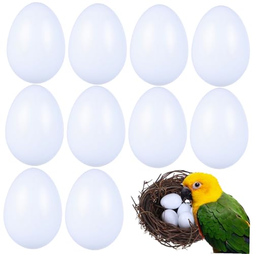 CORHAD 10 Stück Teiliges Täuschend Echte Robust und Schwer zur Brutkontrolle und Täuschung von Vögeln Sicher und Langlebig für Diverse Vogelarten von CORHAD