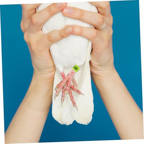 CORHAD 100 Stück Tauben Fußringe Aluminium Kunststoff Taubenringe Identifikationsringe für Brieftauben Papageien Küken Vogelmarkierung von CORHAD