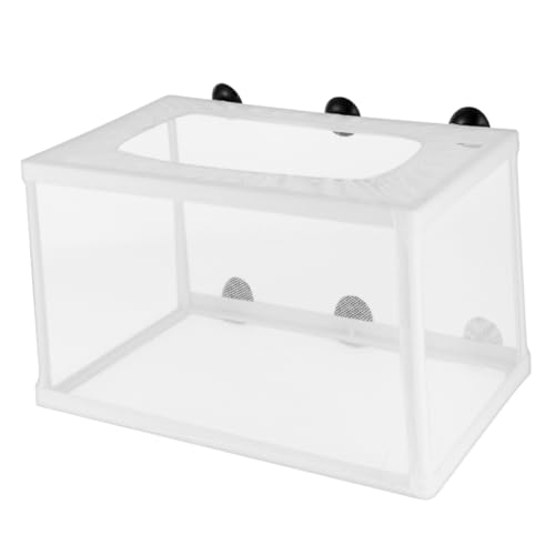 CORHAD 2 Stück Großes Fischbrutnetz mit Saugnapf Robustes Fischreuse für Aquarium Langlebiger Brutkasten zur Schonung und Zucht für Fischaufzucht und Schutz im Aquarienbehälter CORHAD 2 Stück Großes Fischbrutnetz mit Saugnapf Robustes Fischreuse für Aquarium Langlebiger Brutkasten zur Schonung und Zucht für Fischaufzucht und Schutz im Aquarienbehälter von CORHAD