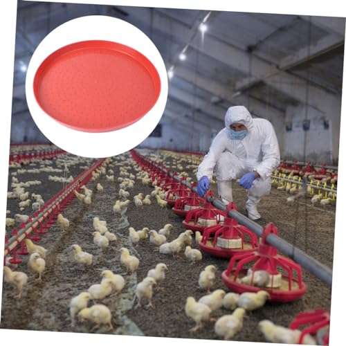 CORHAD 3 Stück Teiliges Geflügel futtertablett Futterplatten aus Robustem Kunststoff Runde Verschleißfeste Futtertröge mit Rutschfestem Boden für Hühner Küken Wachteln und Gänse von CORHAD