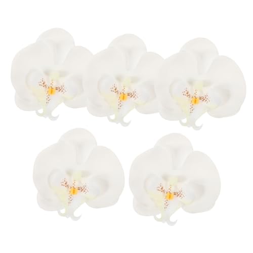 CORHAD 5stücke Künstliche Blumenköpfe Phalaenopsis Blumenköpfe Aus Seide DIY Handwerk Orchideenköpfe Deko Requisiten Blumen Zum Anklipsen CORHAD 5stücke Künstliche Blumenköpfe Phalaenopsis Blumenköpfe Aus Seide DIY Handwerk Orchideenköpfe Deko Requisiten Blumen Zum Anklipsen von CORHAD