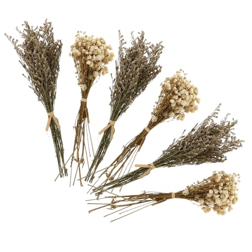 CORHAD 6 Stück Trockenblumenstrauß Teilig Babysbreath Bouquet Getrocknetes Schleierkraut Natürliche Botanische Deko für Zuhause Wohnzimmer Schlafzimmer Zufällige Farbe CORHAD 6 Stück Trockenblumenstrauß Teilig Babysbreath Bouquet Getrocknetes Schleierkraut Natürliche Botanische Deko für Zuhause Wohnzimmer Schlafzimmer Zufällige Farbe von CORHAD