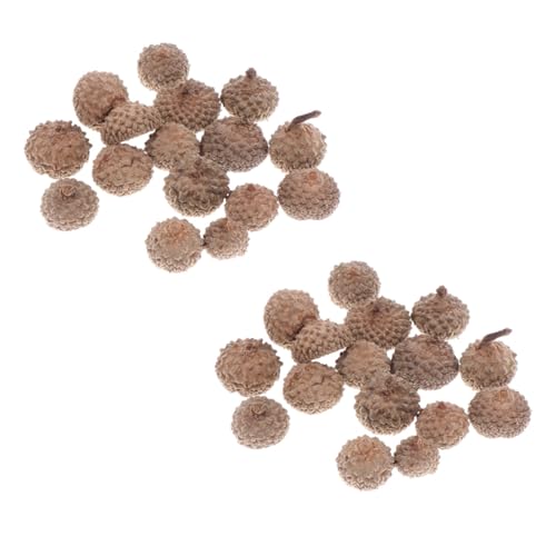 CORHAD 80 Stück Teiliges Acorn Rattan Caps Eichelhüte für DIY Herbst Weihnachtsdeko Langlebig Farbecht für Basteln Girlanden Festliche Dekorationen und Hochzeiten CORHAD 80 Stück Teiliges Acorn Rattan Caps Eichelhüte für DIY Herbst Weihnachtsdeko Langlebig Farbecht für Basteln Girlanden Festliche Dekorationen und Hochzeiten von CORHAD