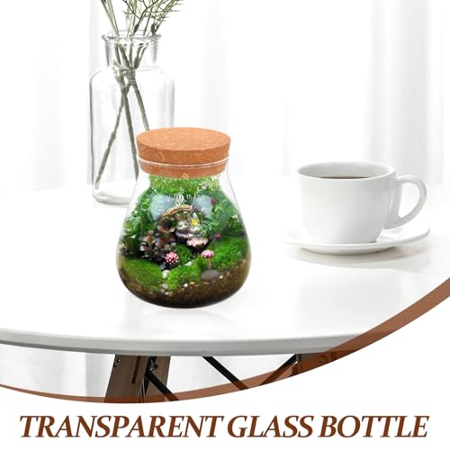 CORHAD Glasflasche für Pflanzen Terrarium mit Deckel Transparenter Micro landschaft DIY Umweltfreundliche Flasche für Zimmerdeko und Pflanzenpräsentation CORHAD Glasflasche für Pflanzen Terrarium mit Deckel Transparenter Micro landschaft DIY Umweltfreundliche Flasche für Zimmerdeko und Pflanzenpräsentation von CORHAD