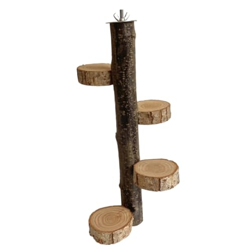 CORHAD Vogel Sitzstange aus Robustem Holz Stabiler Papageien Kletter Ruheplatz Einfacher Aufbau Perfekter Vogelkäfig Ständer für Wellensittich und Nymphensittich Interaktives CORHAD Vogel Sitzstange aus Robustem Holz Stabiler Papageien Kletter Ruheplatz Einfacher Aufbau Perfekter Vogelkäfig Ständer für Wellensittich und Nymphensittich Interaktives von CORHAD