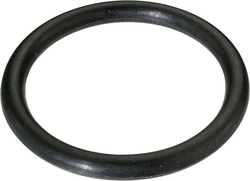 CORNAT Filterpumpen Cornat O-Ringe für Wasserstecksystem von CORNAT