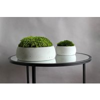 Moos-Schale Herzstück, 2Er-Set Betonschalen Mit Moos von COSMOSScompl
