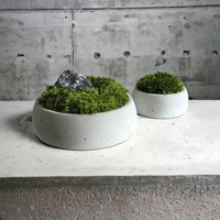 Moos-Schale in Der Mitte 2Er Set Betontöpfe Mit Steinen von COSMOSScompl