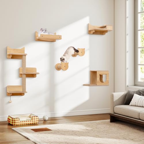 COSTWAY 6 PCS Kletterwand Katzen, Kratzbaum mit Plattformen, Napf, Katzenhaus, Hängematte, 2 Kratzpfosten & Ball, Katzenbaum Wand, Katzentreppe Kletterbaum Holz, Katzenmöbel Natur COSTWAY 6 PCS Kletterwand Katzen, Kratzbaum mit Plattformen, Napf, Katzenhaus, Hängematte, 2 Kratzpfosten & Ball, Katzenbaum Wand, Katzentreppe Kletterbaum Holz, Katzenmöbel Natur von COSTWAY