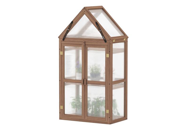 COSTWAY Gewächshaus, BxTxH: 68 x 41 x 132 cm, 4 mm Wandstärke, Frühbeet, Mini Gewächshaus, mit 2 Türen von COSTWAY