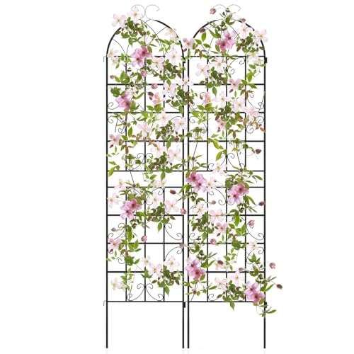 COSTWAY Rankgitter Metall, 2er Set, dekorativer Gartenzaun, freistehende Rankhilfe, Spalier Garten zum Stecken, Rankspalier für Kletterpflanzen Blume Gemüse, freistehend (220 x 50 cm,Schwarz) von COSTWAY