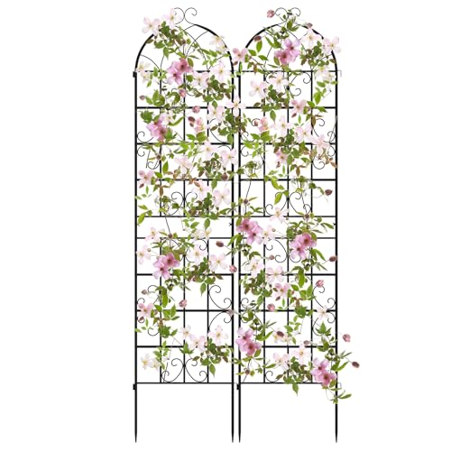 COSTWAY Rankgitter Metall, 2er Set, dekorativer Gartenzaun, freistehende Rankhilfe, Spalier Garten zum Stecken, Rosenspalier Rankspalier, für Kletterpflanzen Blume Gemüse (Schwarz,220 x 50 cm) von COSTWAY