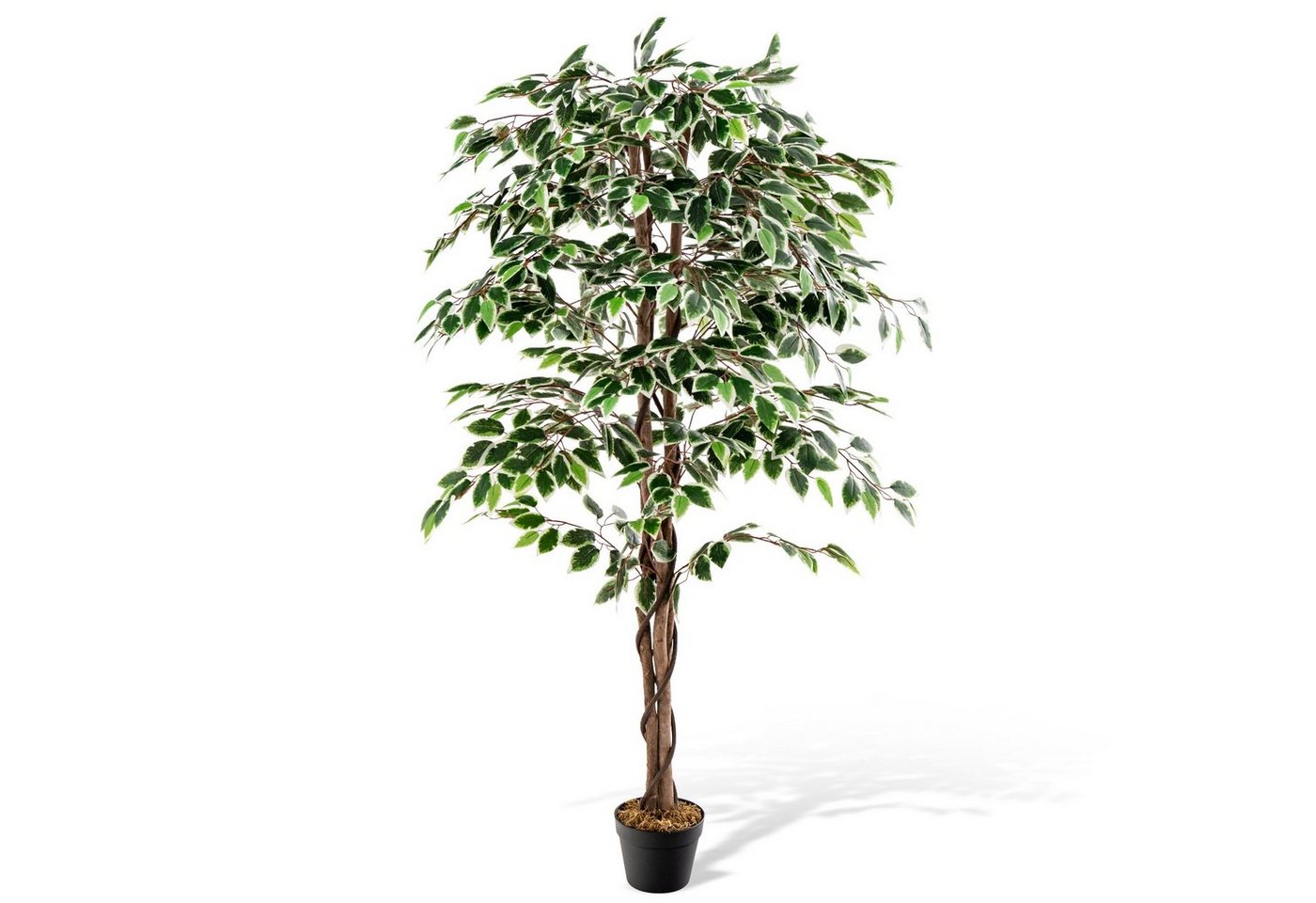 Kunstbaum Ficus Benjamin, COSTWAY, Höhe 160 cm, mit 1008 Blättern & Topf von COSTWAY