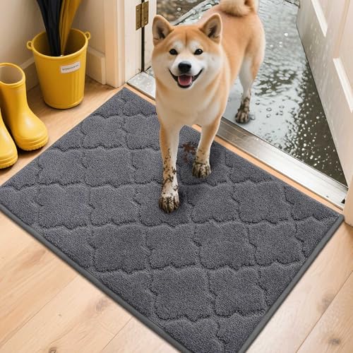 COSY HOMEER Fussmatte Innen 50 x 80 cm, Schmutzfangmatte Waschbar 1,5 cm Dicke, Eingangsteppich Sauberlaufmatte Hundeteppich Maschinenwaschbar für Flur, Küche, Hintertür, Dunkelgrau von COSY HOMEER