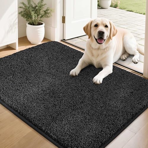 COSY HOMEER Fussmatte Innen 60 x 90 cm, Weich Saugfähig und Schmutzabweisend Fußmatte rutschfest, Niedriges Profil Schmutzfangmatte Maschinenwaschbar für Hintertür, Eingang, Flur, Küche, Schwarz COSY HOMEER Fussmatte Innen 60 x 90 cm, Weich Saugfähig und Schmutzabweisend Fußmatte rutschfest, Niedriges Profil Schmutzfangmatte Maschinenwaschbar für Hintertür, Eingang, Flur, Küche, Schwarz von COSY HOMEER