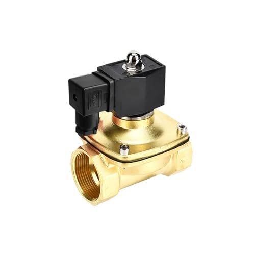 COSZWQDP 1-1/4" IP65 Wasserdichtes, normalerweise geschlossenes Magnetventil 24 V 12 V 220 V 110 V Elektrisches Magnetventil aus Messing(NPT-110VAC-VITON-SEAL) von COSZWQDP