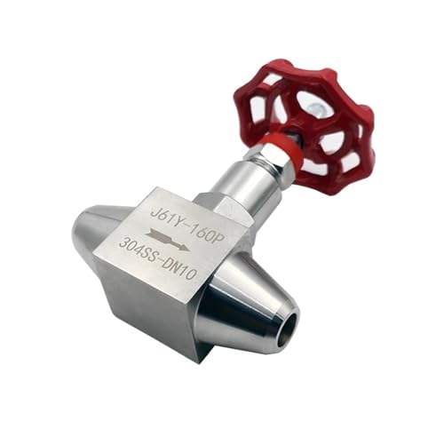 DN6 DN10 DN15 DN20 DN25 Edelstahl Schweißen Nadel Butt schweißen Globus(160P,05) von COSZWQDP