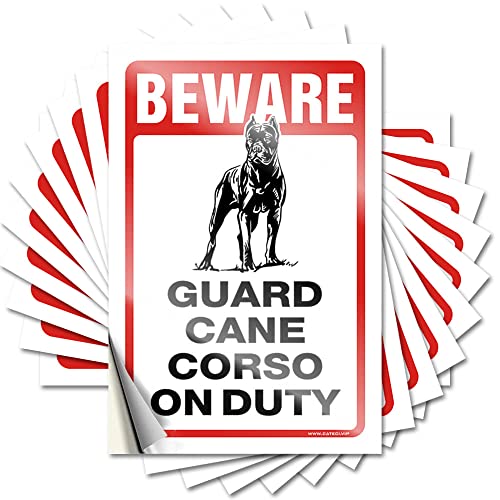 COTECI Aufkleber für Autos Vorsicht! Guard Cane Corso On Duty Lustiger Aufkleber 10 Stück Mädchenaufkleber Markenaufkleber (Größe: 8 x 12 cm) von COTECI
