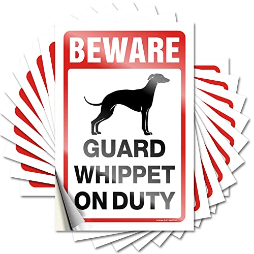 COTECI Lustige Auto-Aufkleber "Beware! Guard Whippet On Duty", lustiger Aufkleber, 10 Stück, Auto-Aufkleber, Windschutzscheibe (Größe: 8 x 12 cm) von COTECI