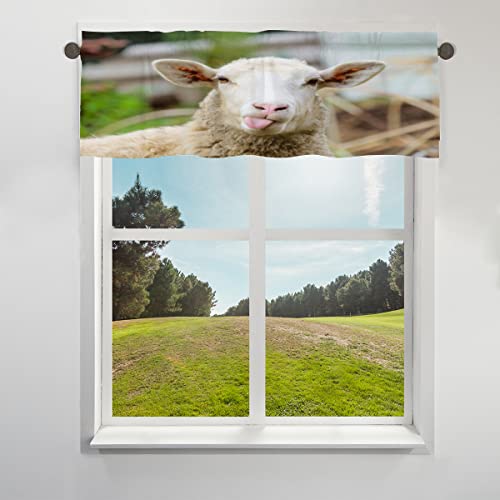 COTOT Lustiger Schaf Volant Vorhang für Fenster, Schaf Druck Kurze Fenster Behandlung Volant Stange Taschenvorhang für Küche Wohnzimmer Schlafzimmer 45,7 x 132 cm von COTOT