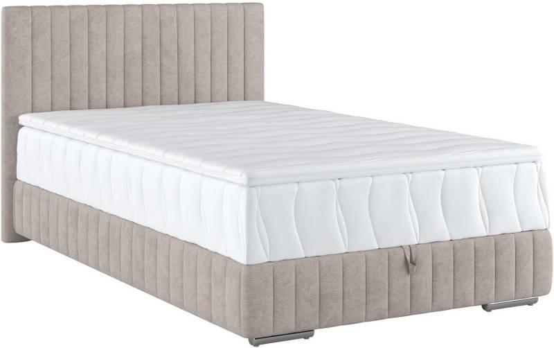 COTTA Boxbett Beetle, inkl. Topper und Bettkasten von COTTA