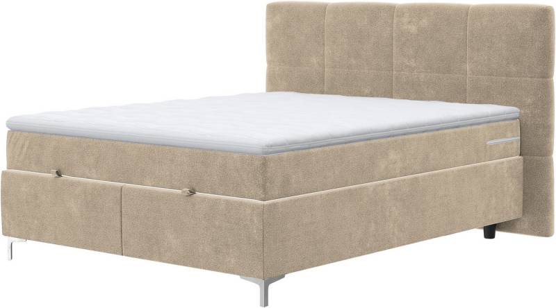 COTTA Boxbett Kimy inkl. Bettkasten, erhältlich in den Breiten 160x200cm & 180x200cm von COTTA