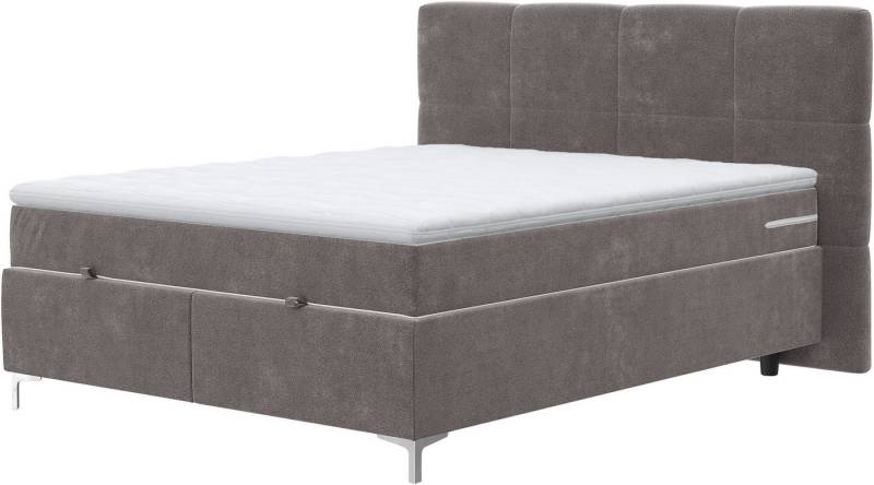 COTTA Boxbett Kimy inkl. Bettkasten, erhältlich in den Breiten 160x200cm & 180x200cm von COTTA