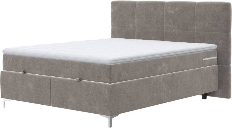 COTTA Boxbett Kimy inkl. Bettkasten, erhältlich in den Breiten 160x200cm & 180x200cm von COTTA