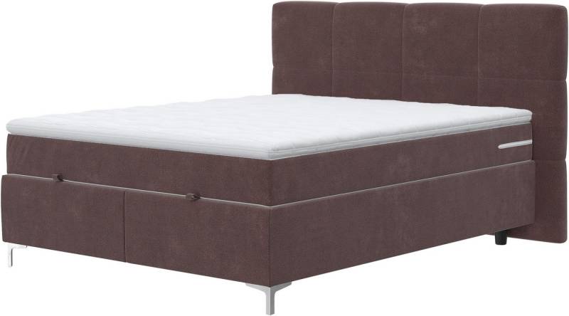 COTTA Boxbett Kimy inkl. Bettkasten, erhältlich in den Breiten 160x200cm & 180x200cm von COTTA