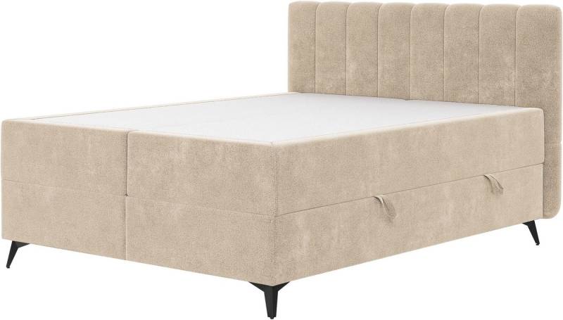 COTTA Boxbett Vicky inkl. Bettkasten, erhältlich in den Breiten 160x200cm & 180x200cm von COTTA
