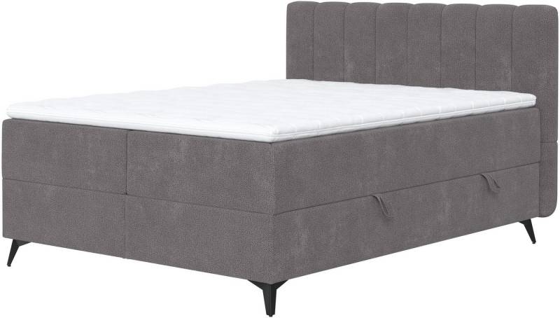 COTTA Boxbett Vicky inkl. Bettkasten, erhältlich in den Breiten 160x200cm & 180x200cm von COTTA