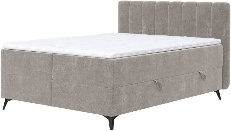 COTTA Boxbett Vicky inkl. Bettkasten, erhältlich in den Breiten 160x200cm & 180x200cm von COTTA