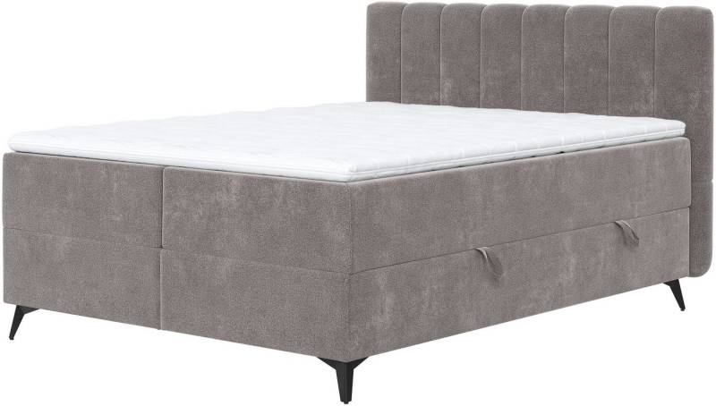 COTTA Boxbett Vicky inkl. Bettkasten, erhältlich in den Breiten 160x200cm & 180x200cm von COTTA