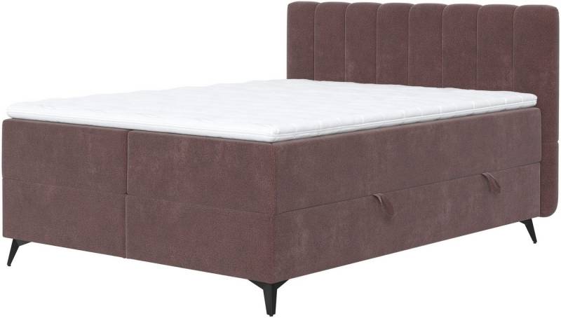 COTTA Boxbett Vicky inkl. Bettkasten, erhältlich in den Breiten 160x200cm & 180x200cm von COTTA