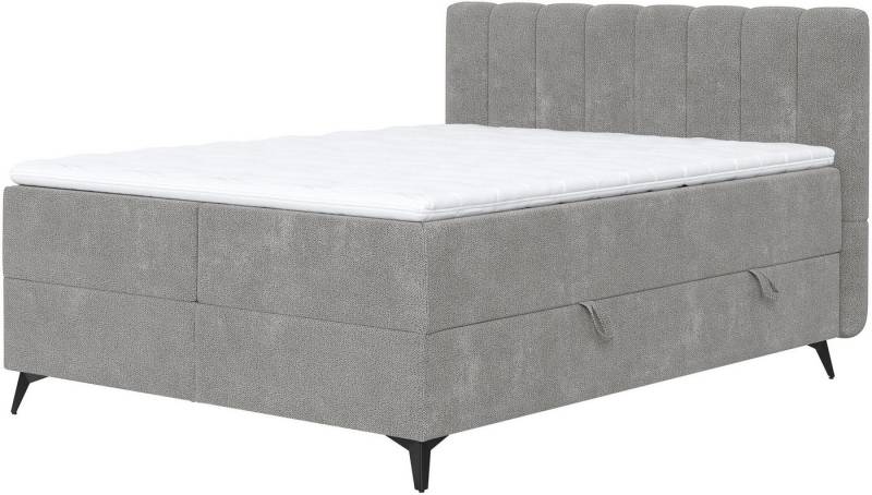 COTTA Boxbett Vicky inkl. Bettkasten, erhältlich in den Breiten 160x200cm & 180x200cm von COTTA