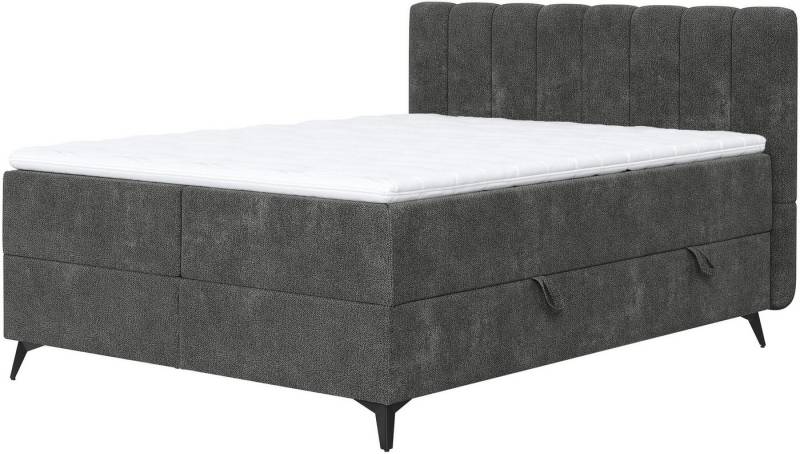 COTTA Boxbett Vicky inkl. Bettkasten, erhältlich in den Breiten 160x200cm & 180x200cm von COTTA
