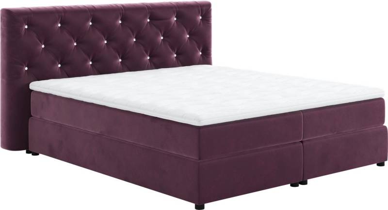 COTTA Boxspringbett Castle, mit Strasssteinen im Kopfteil, inkl. Topper von COTTA