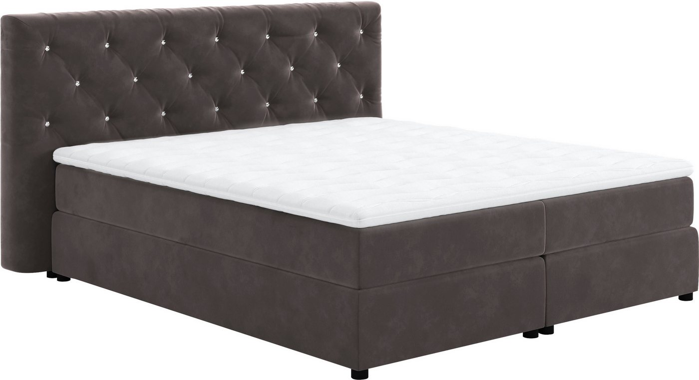 COTTA Boxspringbett Castle, mit Strasssteinen im Kopfteil, inkl. Topper COTTA Boxspringbett Castle, mit Strasssteinen im Kopfteil, inkl. Topper von COTTA