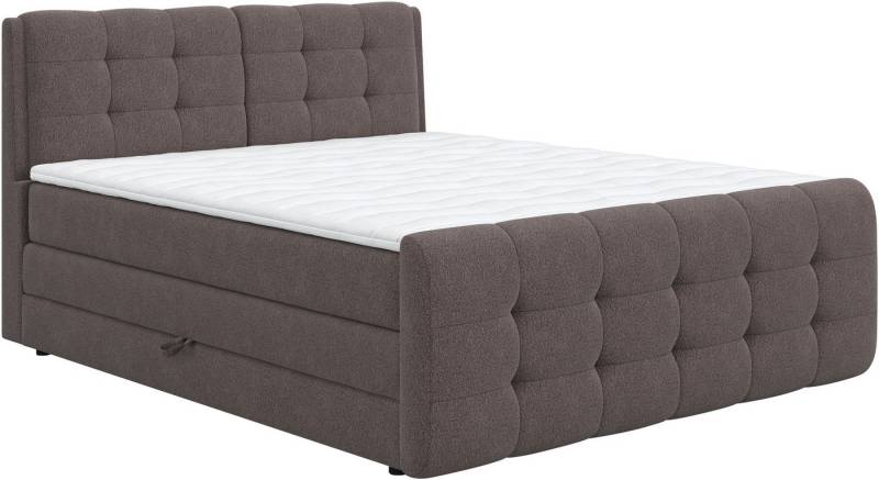 COTTA Boxspringbett Fort mit Bettkasten, inkl. Topper, erhältlich in verschiedenen Breiten (160cm, 180cm & 200cm) von COTTA