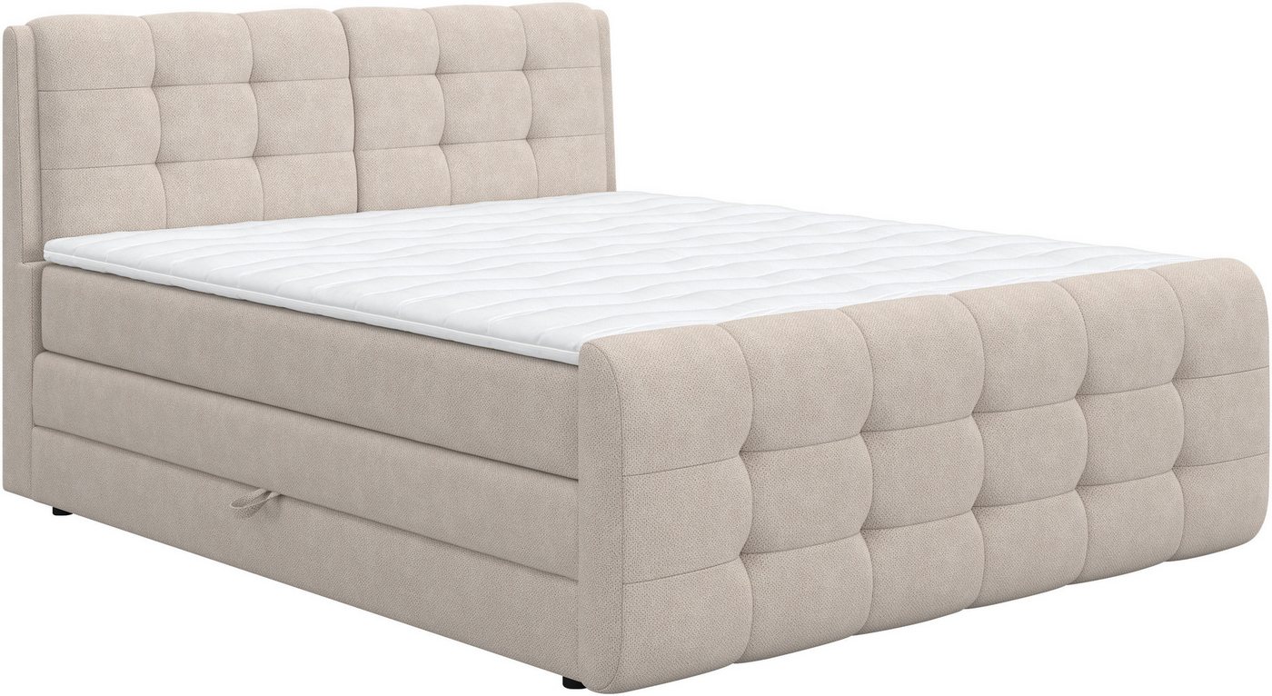 COTTA Boxspringbett Fort mit Bettkasten, inkl. Topper, erhältlich in verschiedenen Breiten (160cm, 180cm & 200cm) von COTTA