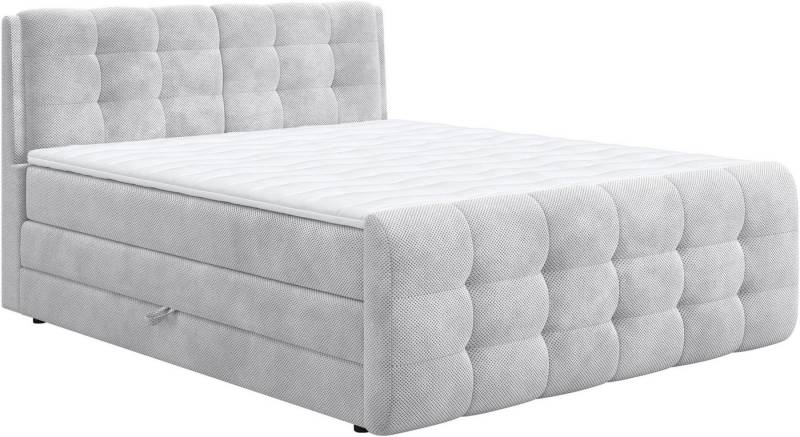 COTTA Boxspringbett Fort mit Bettkasten, inkl. Topper, erhältlich in verschiedenen Breiten (160cm, 180cm & 200cm) von COTTA