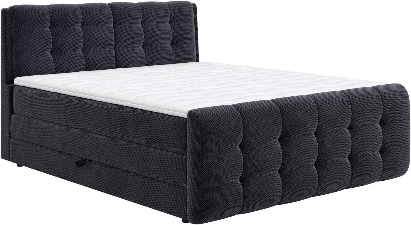 COTTA Boxspringbett Fort mit Bettkasten, inkl. Topper, erhältlich in verschiedenen Breiten (160cm, 180cm & 200cm) von COTTA