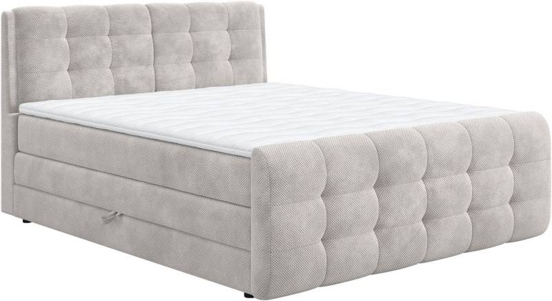 COTTA Boxspringbett Fort mit Bettkasten, inkl. Topper, erhältlich in verschiedenen Breiten (160cm, 180cm & 200cm) von COTTA
